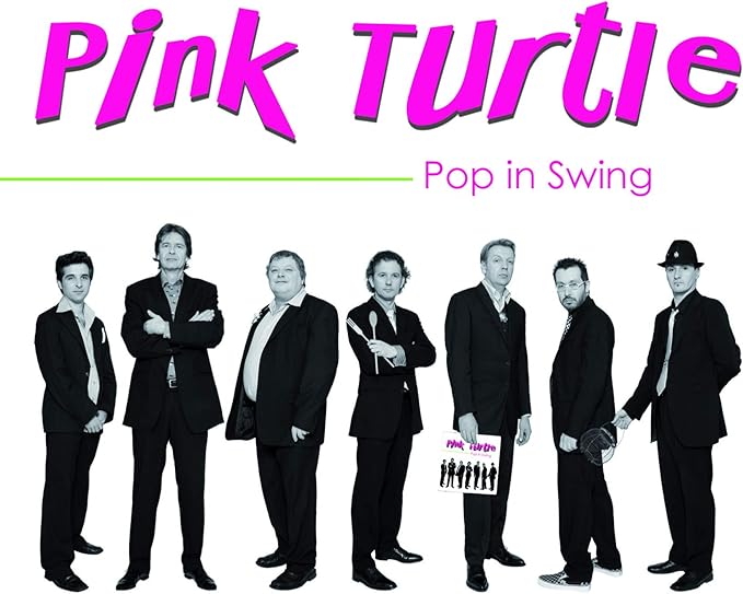 CD USATO PINK TURTLE POP IN SWING