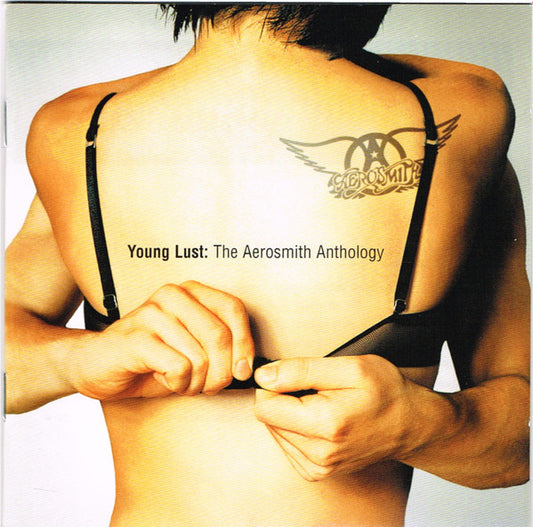 AEROSMITH YOUNG LUST THE AEROSMITH ANTHOLOGY 2 CD USATO M/M